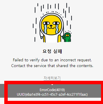 카카오 Application ErrorCode(4019) 에러 메시지