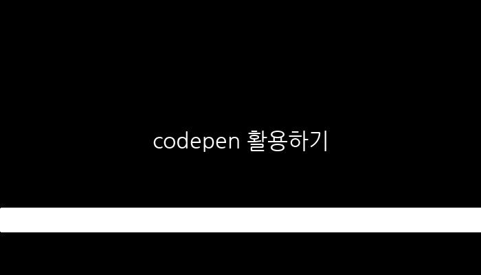 codepen 활용하기