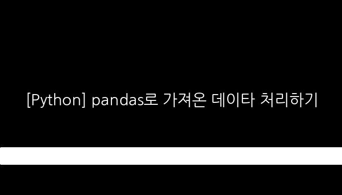 [Python] pandas로 가져온 데이타 처리하기