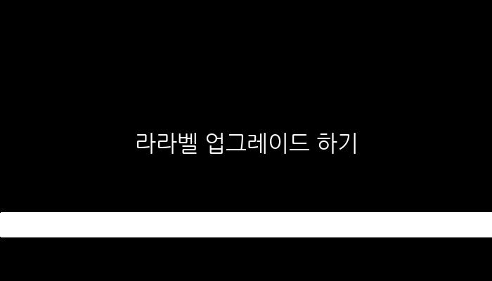 라라벨 업그레이드 하기