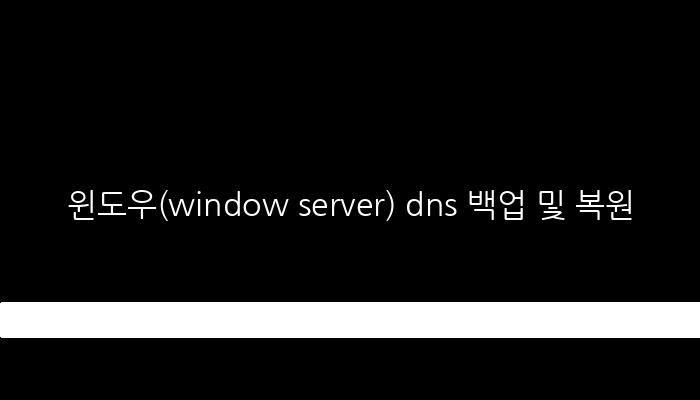 윈도우(window server) dns 백업 및 복원