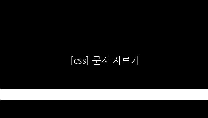 [css] 문자 자르기